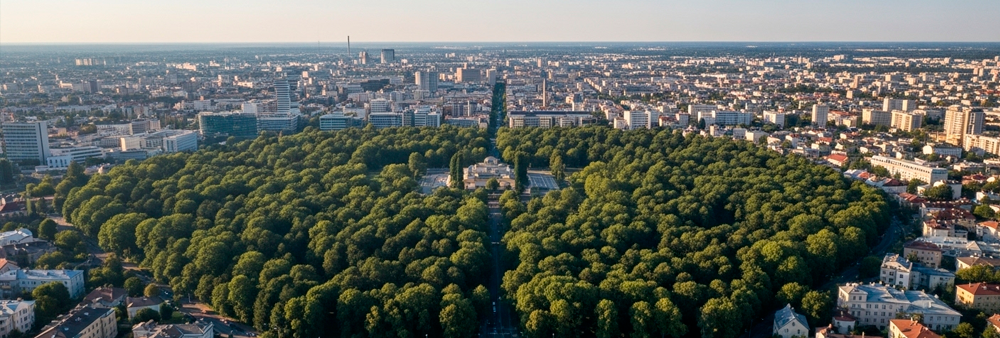 Imagem de uma cidade com um parque florestal no centro