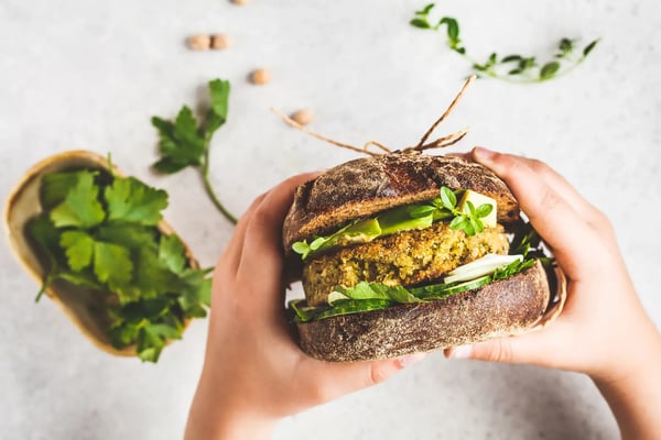 A imagem apresenta um par de mãos brancas que segura um hamburguer feito com proteína vegetal. O tema do artigo é inovação no agronegócio.