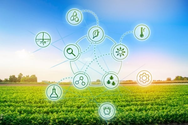 Smart Agriculture 02