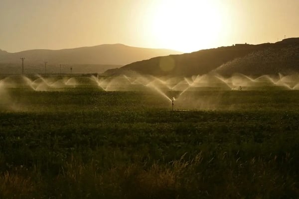 fazenda com dezenas de irrigadores